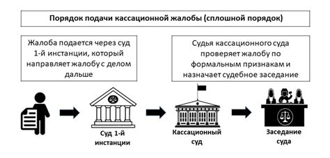 Какие результаты можно ожидать при подаче кассационной жалобы на меру пресечения?