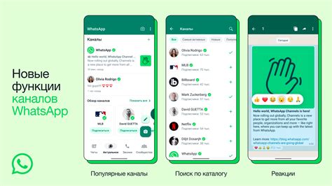 Какие сведения доступны моим контактам в WhatsApp