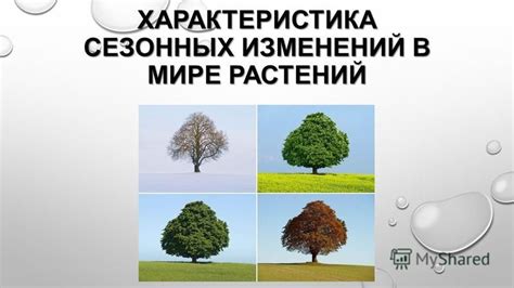 Какие сезонные погодные условия выбрать полиэстер?