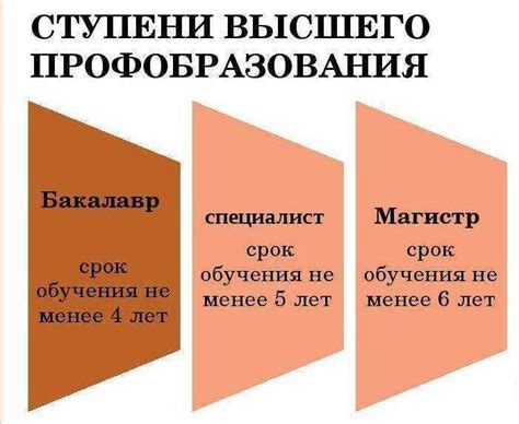 Какие ступени профессионального образования предлагает педагогический университет