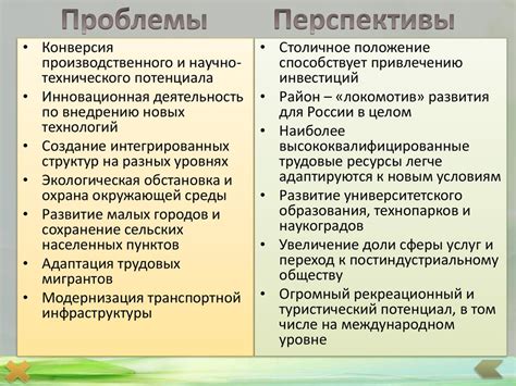 Какие существуют проблемы и перспективы развития ФРМР?