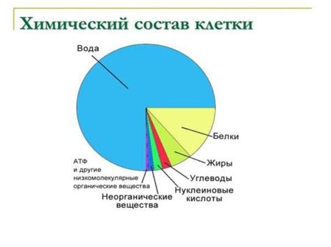 Какие узлы и компоненты входят в состав внутриузловых соединений