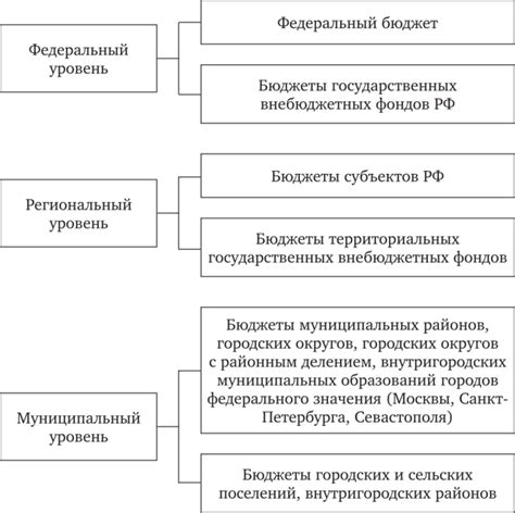 Какие уровни включает бюджетная система?