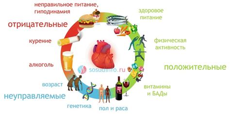 Какие факторы могут повлиять на результаты дефицита калорий?