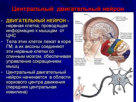 Какие функции выполняют IRQ назначения