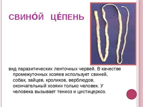 Какие чувства вызывает видение червей в гнилом мясе у представительниц прекрасного пола?