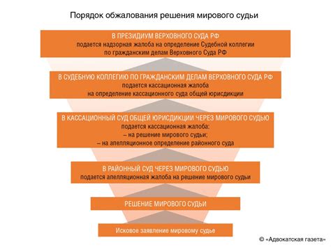 Какова роль мирового судьи в назначении штрафов?