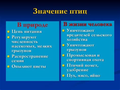 Какова роль рефлексии в столкновении птиц с окнами