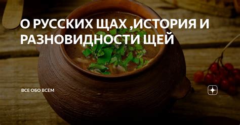 Каковы значения сна о щах с мясом?