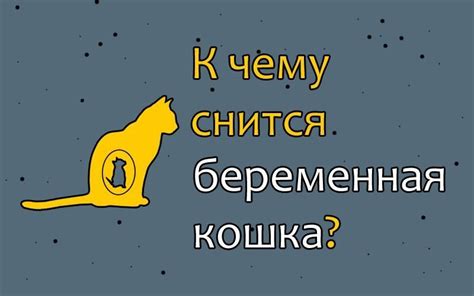 Какое значение несет сон о белой кошке