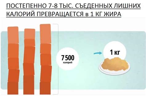 Какое количество калорий тратится, когда мерзнем?