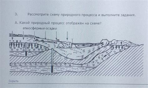 Какой природный процесс приводит к потере перьев?