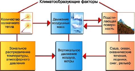 Как влияет климат на процесс качания меда в средней полосе?