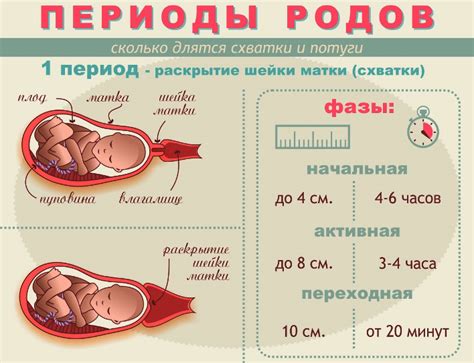 Как время раскрытия влияет на роды