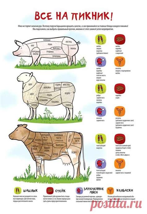 Как выбрать оптимальное мясо для запекания