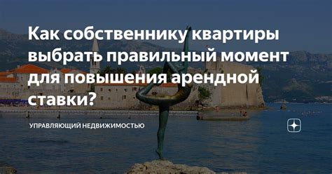 Как выбрать правильный момент для изготовления веников?