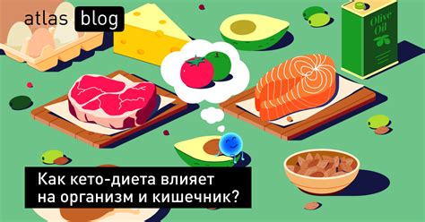 Как диета влияет на организм?