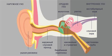 Как избавиться от заложенности уха?