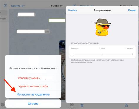Как избежать автоматического удаления сообщений в чатах Телеграм?