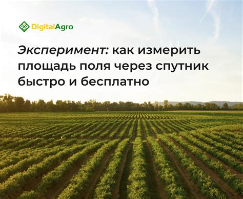 Как измерить площадь в гектарах