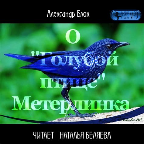 Как интерпретировать сновидения о голубой птице: актуальные методы анализа