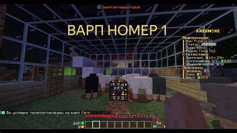 Как использовать варпы на сервере Minecraft