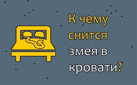 Как использовать сновидение о выборе квартиры в практических целях