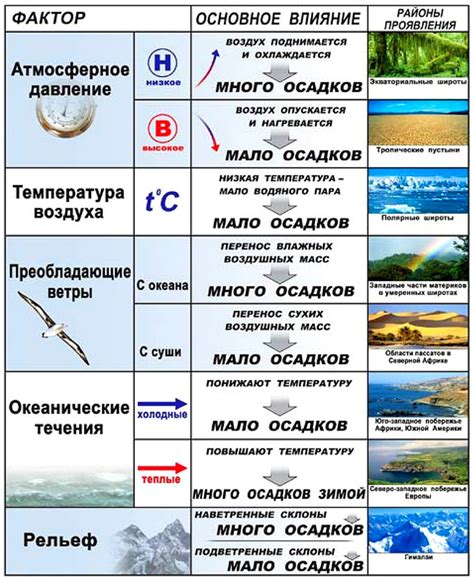 Как количество осадков влияет на биоразнообразие