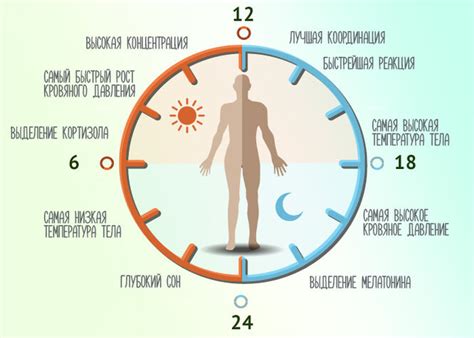 Как легко восстановить ритм жизни