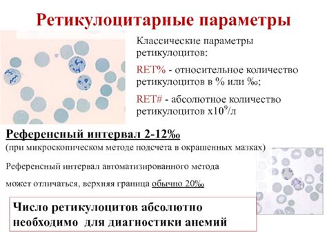 Как меняется количество ретикулоцитов в разных состояниях