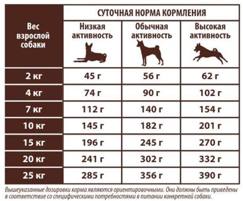 Как найти идеальное соотношение веса собаки и порции сухого корма?