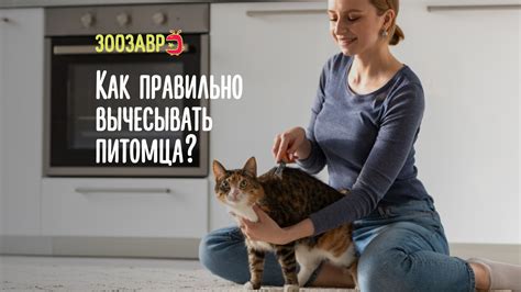 Как научить собаку привыкать к вычесыванию шерсти