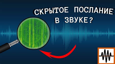 Как нежные пушистые создания передают скрытое послание в грезах