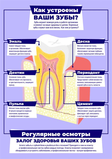 Как обезопасить ваши зубы от возможного повреждения во время сна?