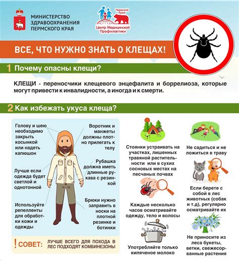 Как обезопасить себя и своих близких от возможных последствий укуса клеща?