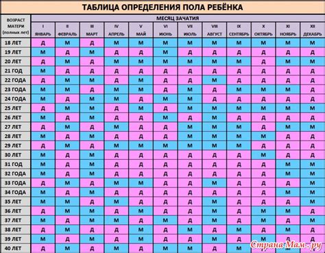 Как определить пол ребенка и на каком сроке беременности это можно сделать