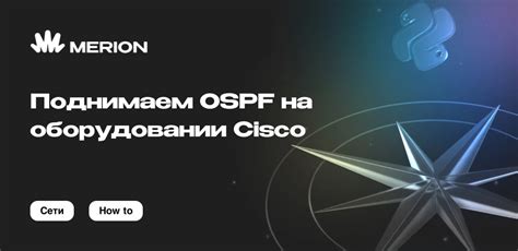 Как очистить процесс OSPF на оборудовании Cisco