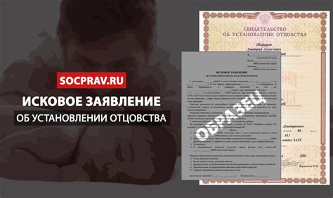 Как подать иск об установлении отцовства: суды и порядок