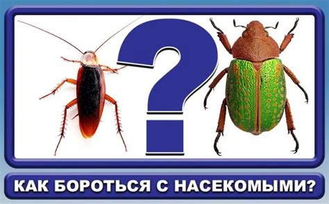 Как поступить, если в квартире появился домовой?!