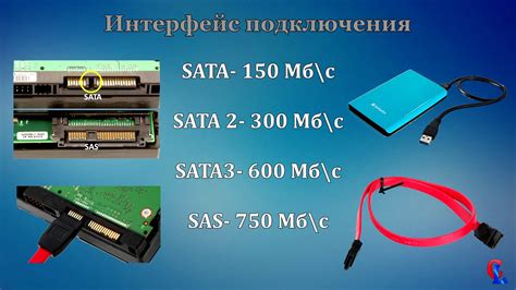 Как правильно выбрать жесткий диск: советы и рекомендации