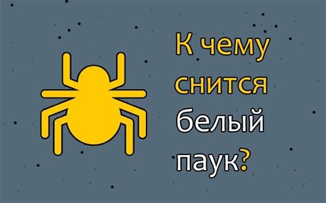 Как правильно интерпретировать символ тыквы во сне: полезные рекомендации