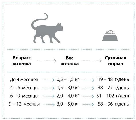 Как правильно определить вес кота