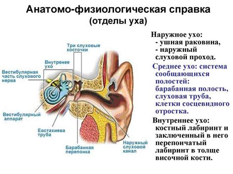 Как предотвратить заложенность ушей?