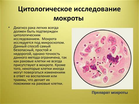 Как проводится цитологическое исследование?