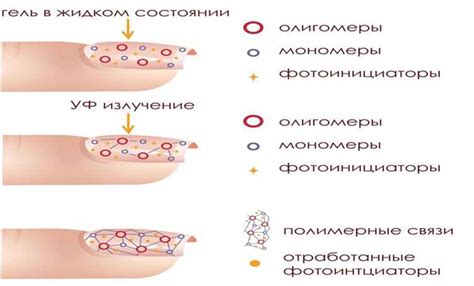 Как происходит процесс полимеризации гель лака на ногтях?