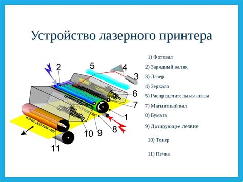 Как работает принтер в информатике