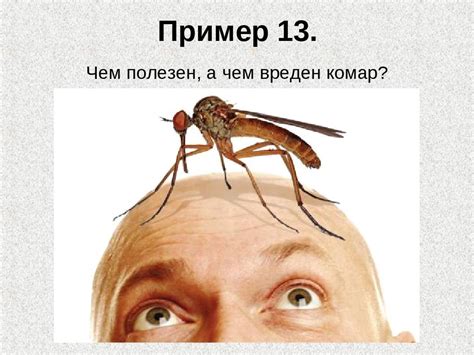 Как работает процесс кровопияти кровососущим комарам