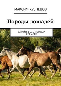 Как расшифровать значения снов о всадниках на различных породах лошадей