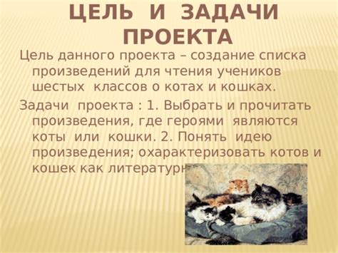 Как расшифровать разные значимости снов, где главными героями являются белые пушистые коты?
