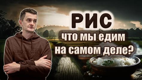 Как регулярное потребление риса положительно влияет на организм